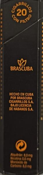 Cohiba Maestro